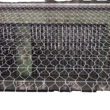 Galvanisé Cages hexagonales en fil métallique hexagonal / poulet